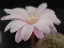 DSC07170