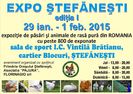 afis expo stefanesti