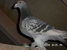 SAM_1658