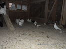 SAM_1667