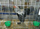 DSCN8135