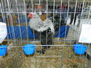 DSCN8139