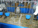 DSCN8140