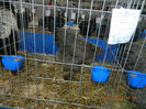 DSCN8146