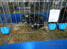 DSCN8171