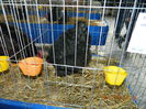 DSCN8196