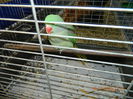 DSCN8329