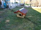DSC08982