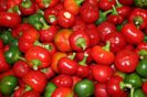ardei CHERRY 2
