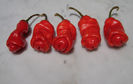ardei peter pepper 3