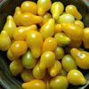 ROSII CHERRY YELLOW PEAR 3