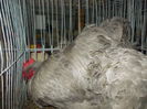 DSCN0152
