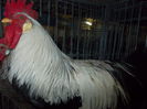 DSCN0167