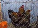 DSCN0174