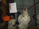DSCN0177