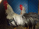 DSCN0179