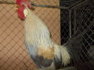 DSCN0183