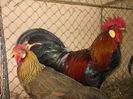 DSCN0187