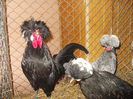 DSCN0194