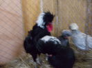 DSCN0195