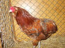 DSCN0196
