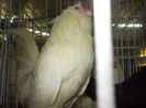DSCN0200