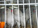 DSCN0201