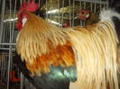 DSCN0208