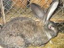 DSCN0234