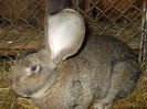DSCN0235