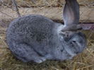 DSCN0237
