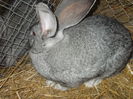 DSCN0240