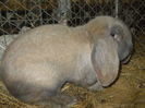 DSCN0278