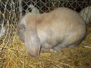 DSCN0279