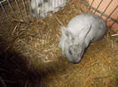 DSCN0280