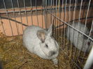 DSCN0283
