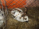 DSCN0287