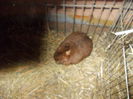 DSCN0290