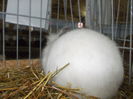 DSCN0293