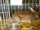 DSCN0296