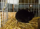DSCN0298