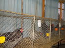 DSCN0307