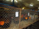 DSCN0311