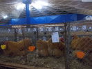 DSCN0314