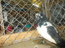 DSCN0330