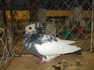 DSCN0332