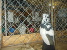 DSCN0333
