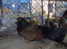 DSCN0341