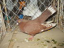 DSCN0347