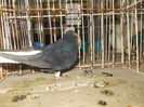 DSCN0350